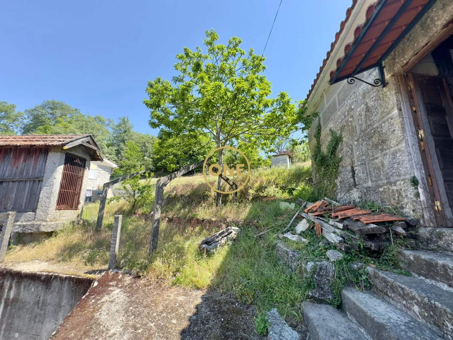 Little Farm - Baião - 2
