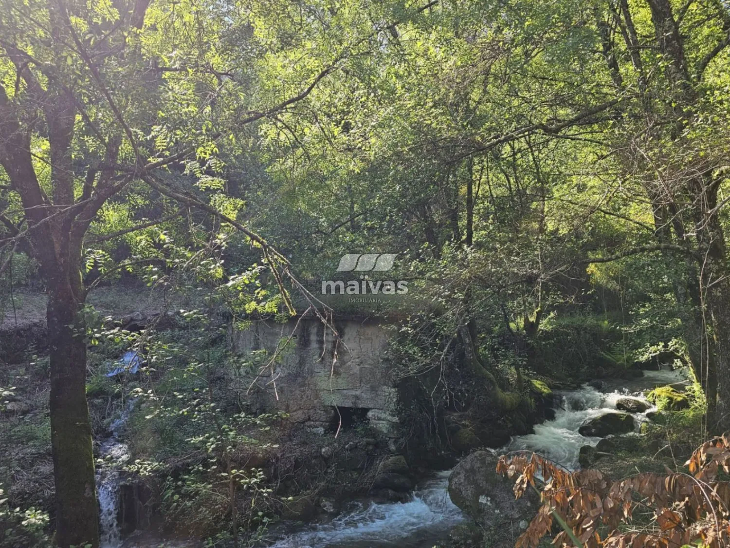 Moinhos - Valdreu, Vila Verde