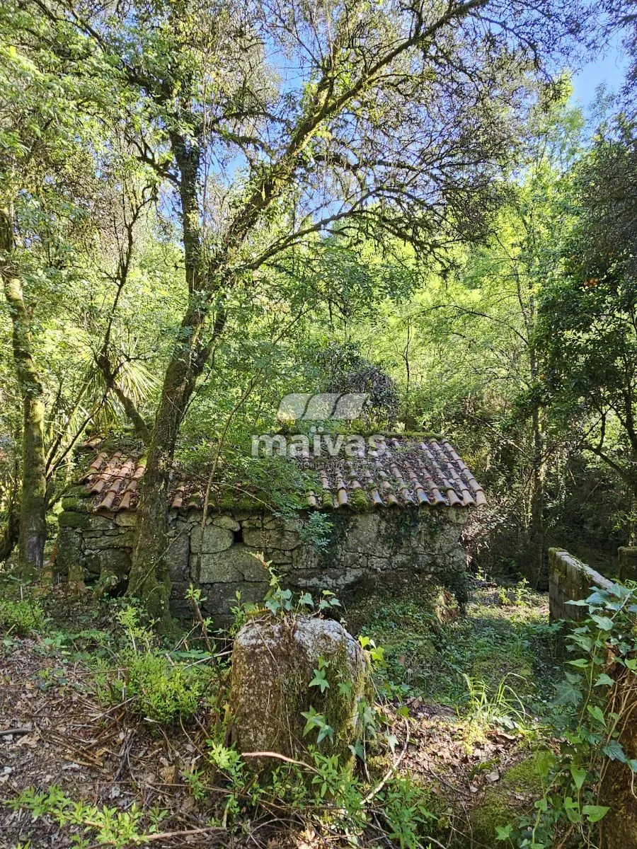 Moinhos - Valdreu, Vila Verde - 3