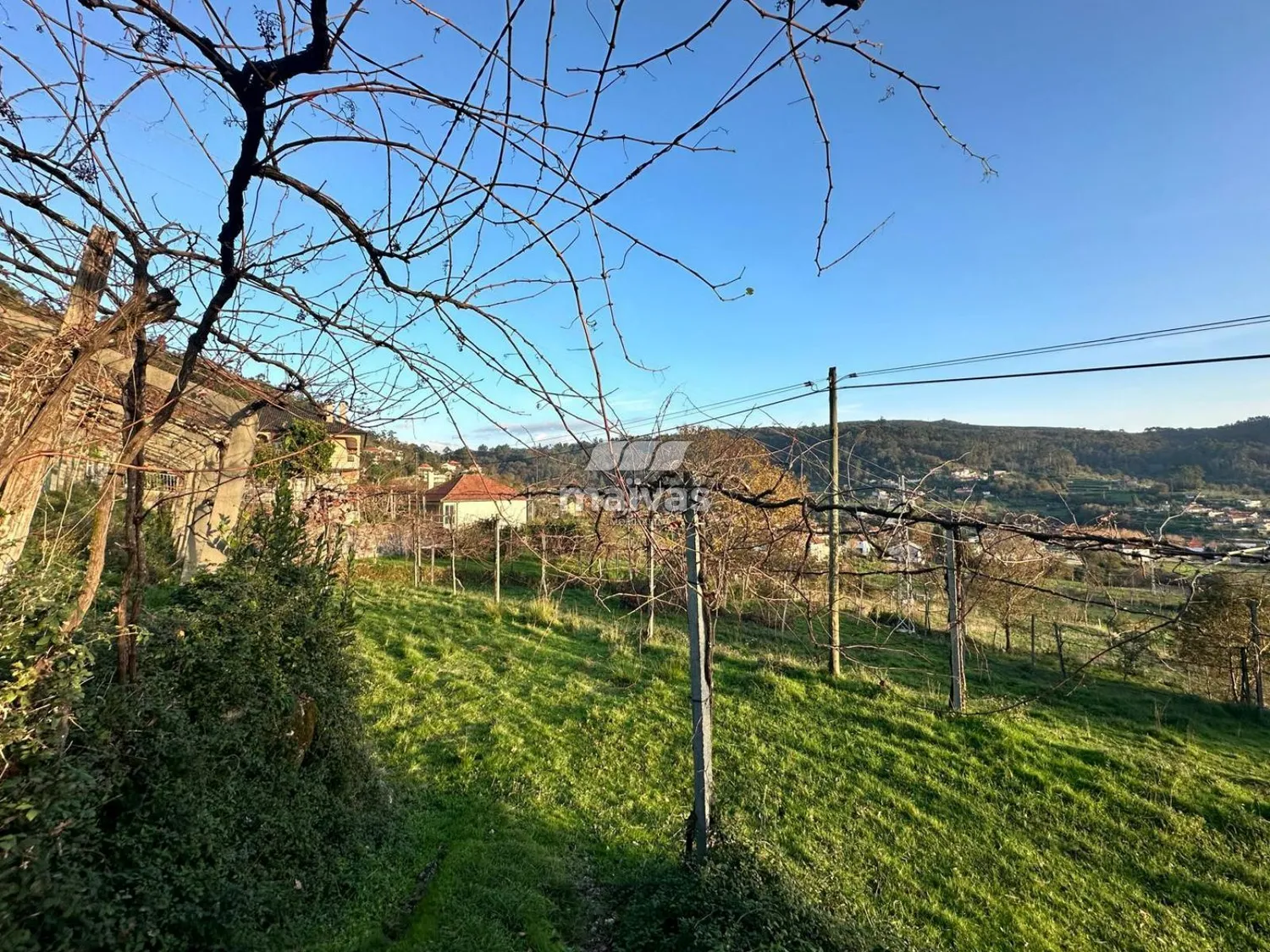 Terreno para construção - Aboim, Vila Verde - 2