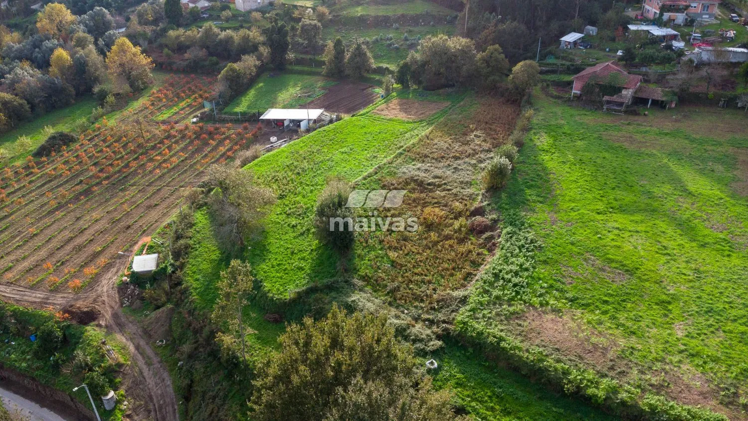 Terreno