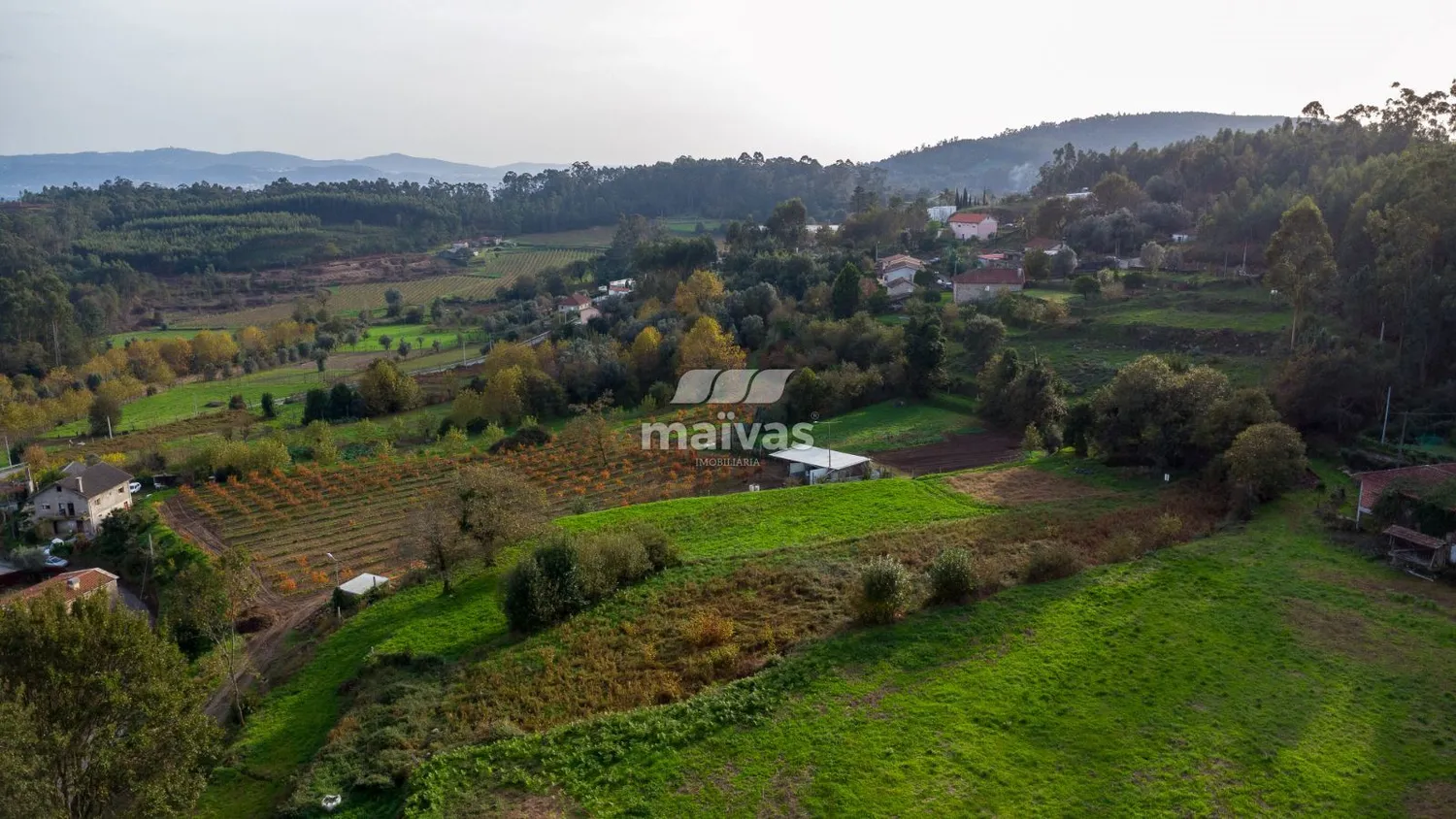 Terreno - 2