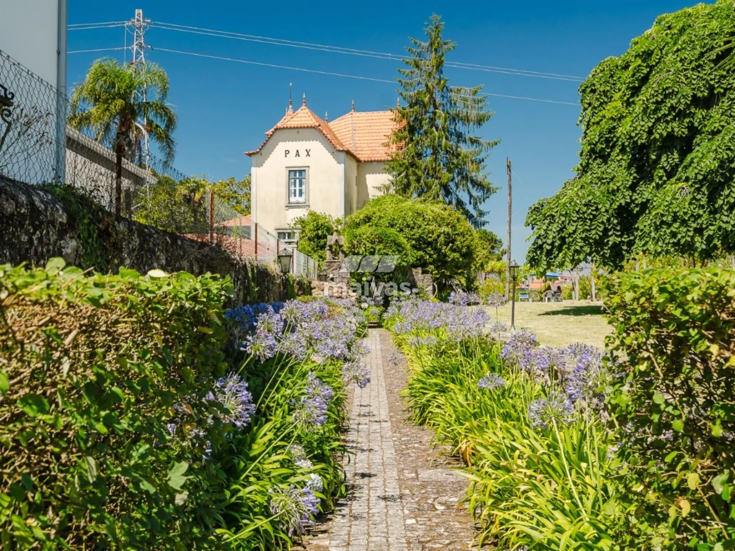 Quinta centenária em Barroselas, Viana do Castelo - 2