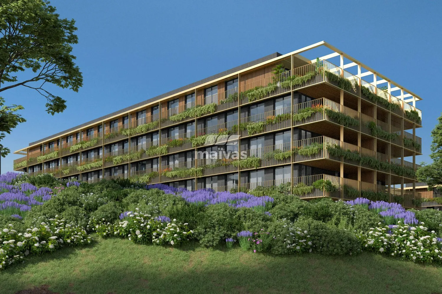 Penthouse T4