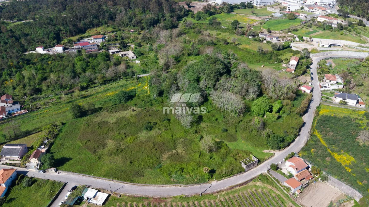 Terreno