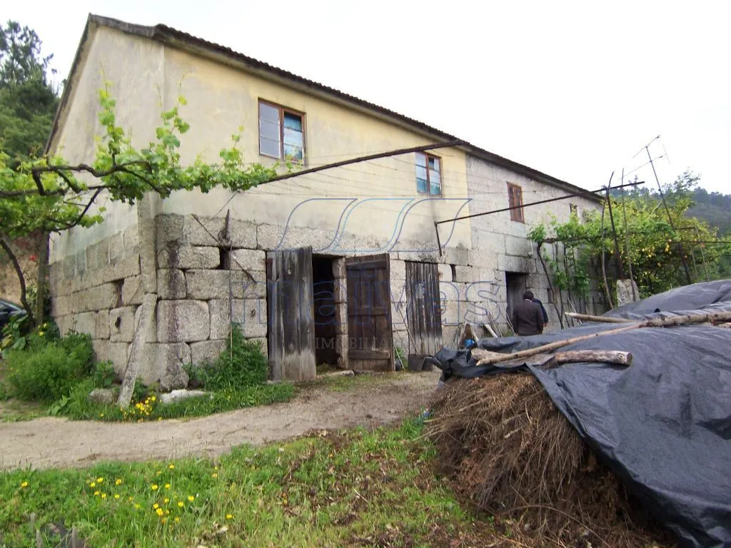 Quintinha em Amarante com aprox. 56.000 m2