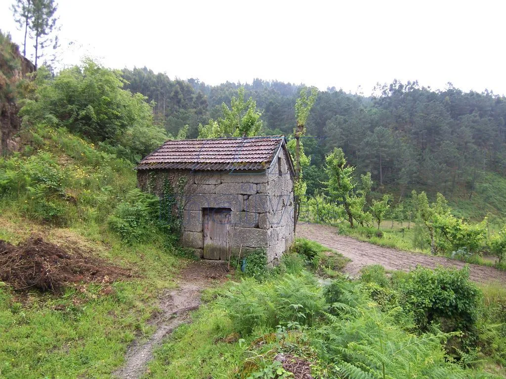 Quintinha em Amarante com aprox. 56.000 m2 - 2