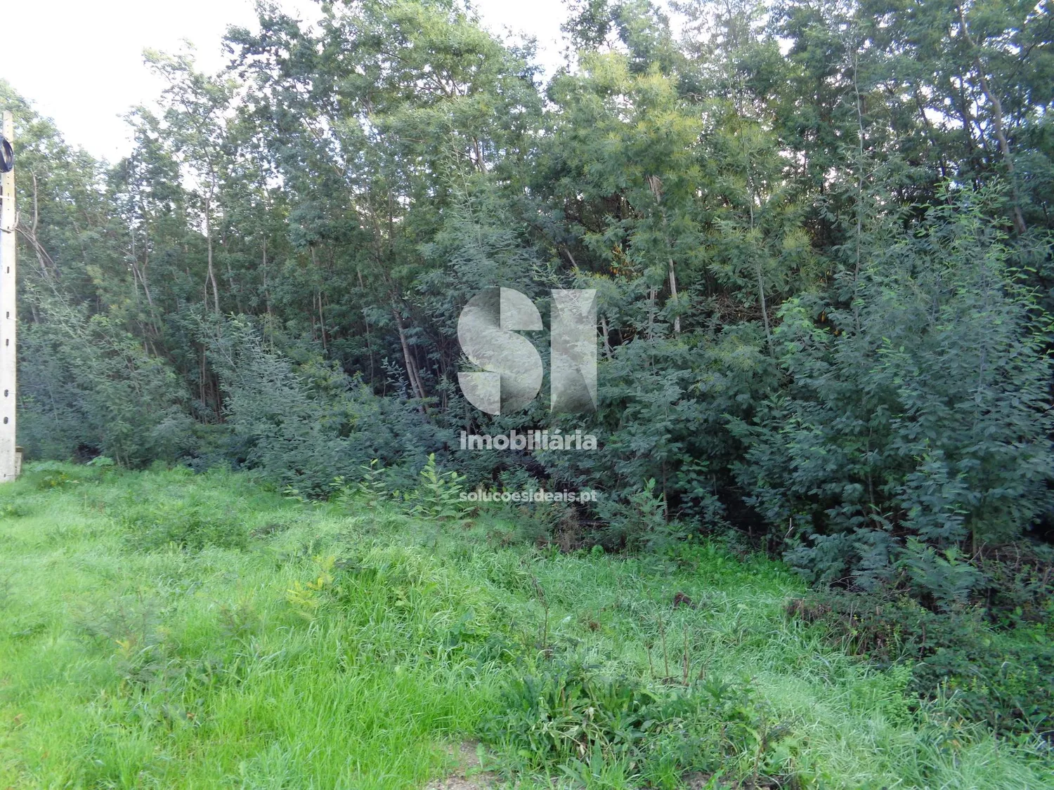 Terreno para construção / Lousã - 3