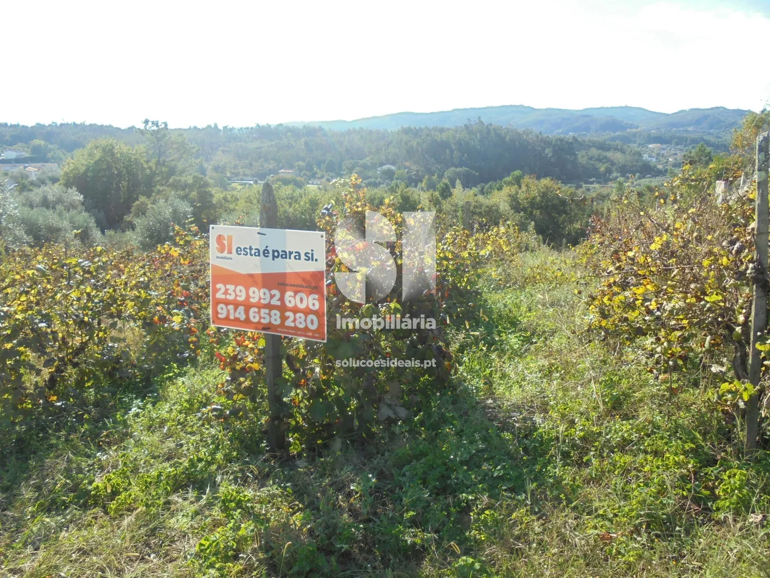 Terreno em Vila nova de poiares