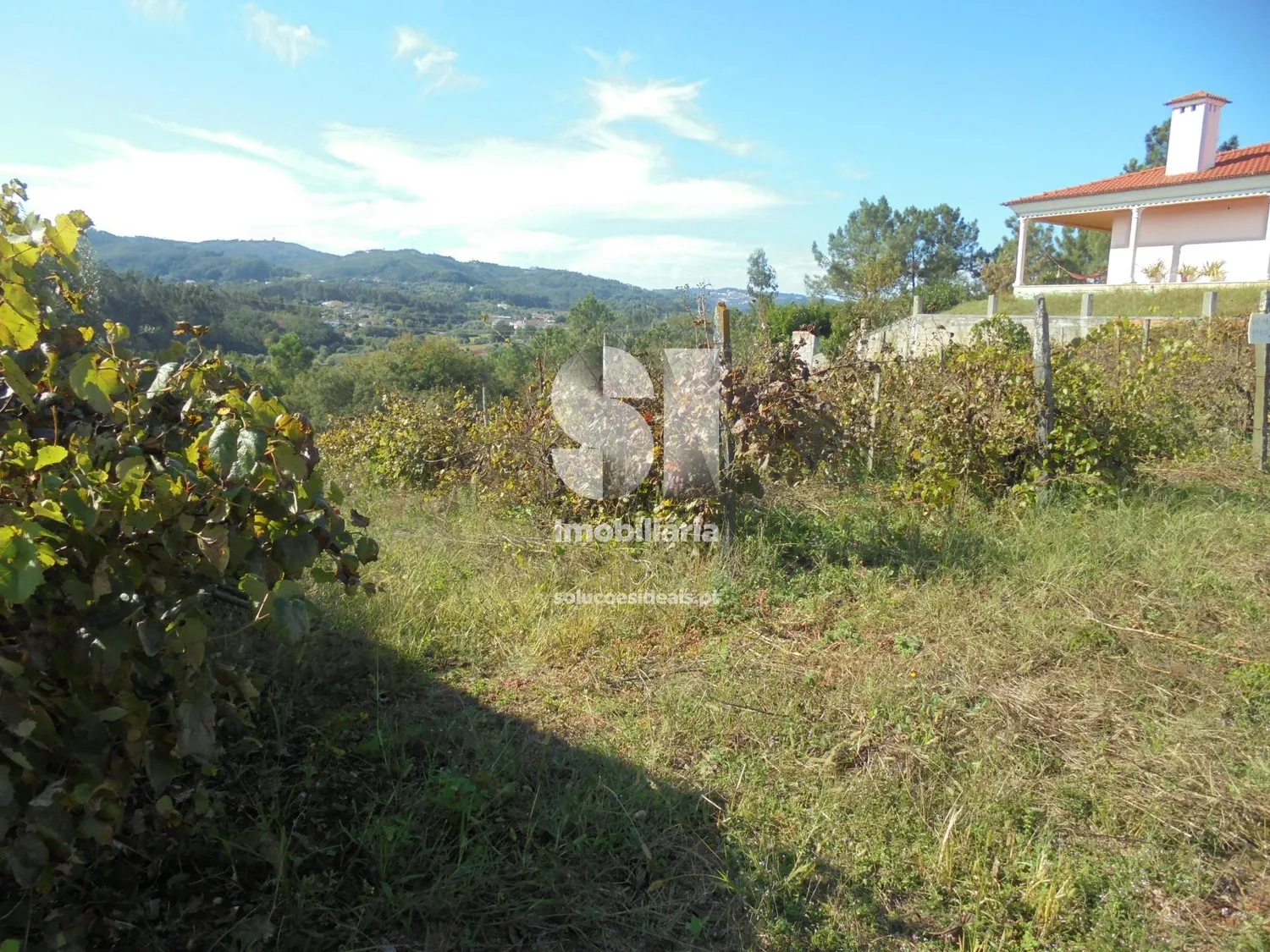 Terreno em Vila nova de poiares - 2