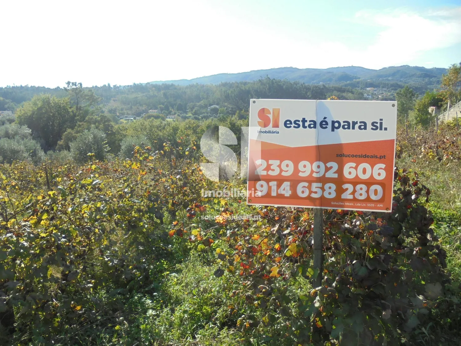 Terreno em Vila nova de poiares - 3