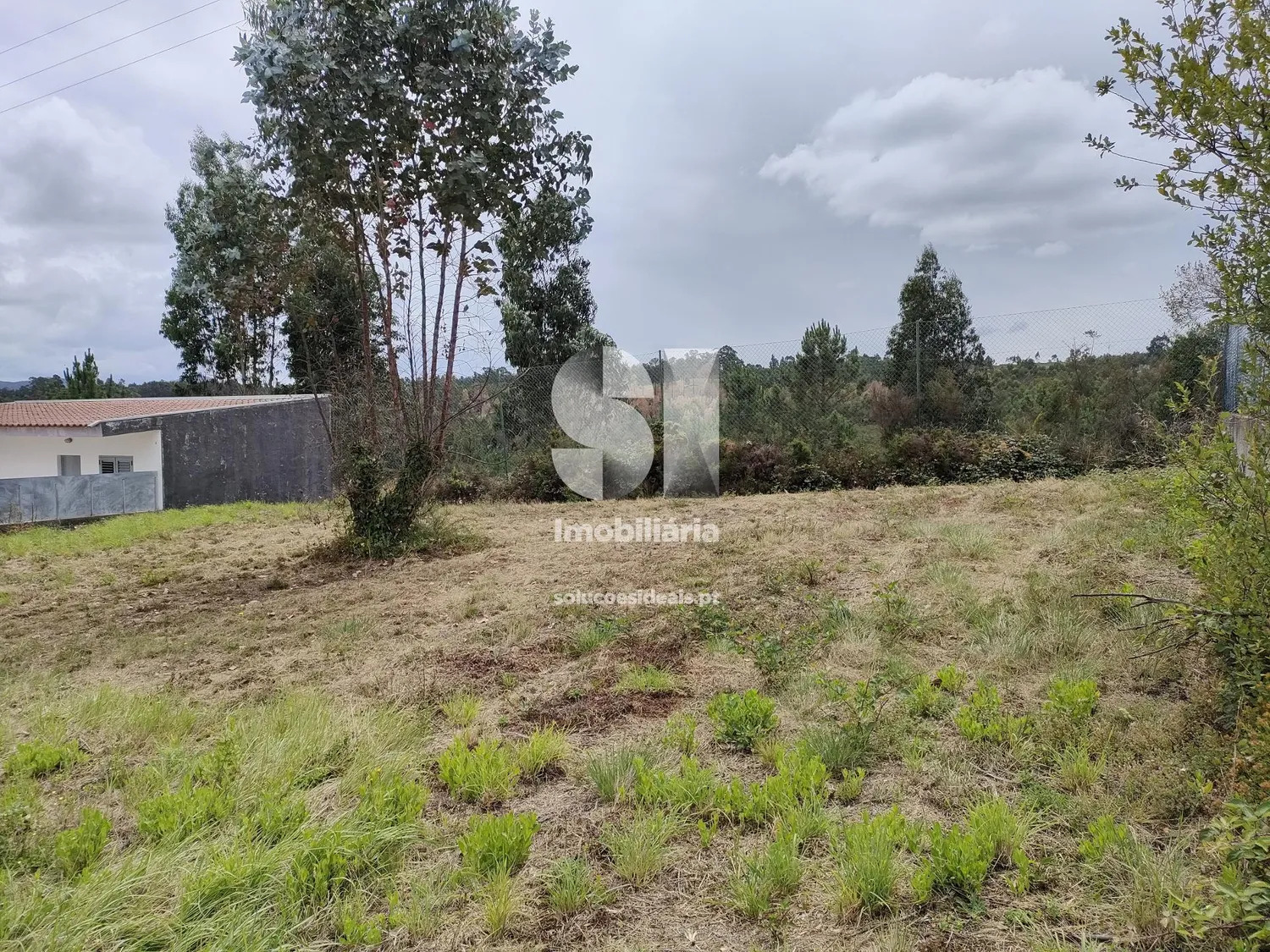 Terreno em Paredes - 2