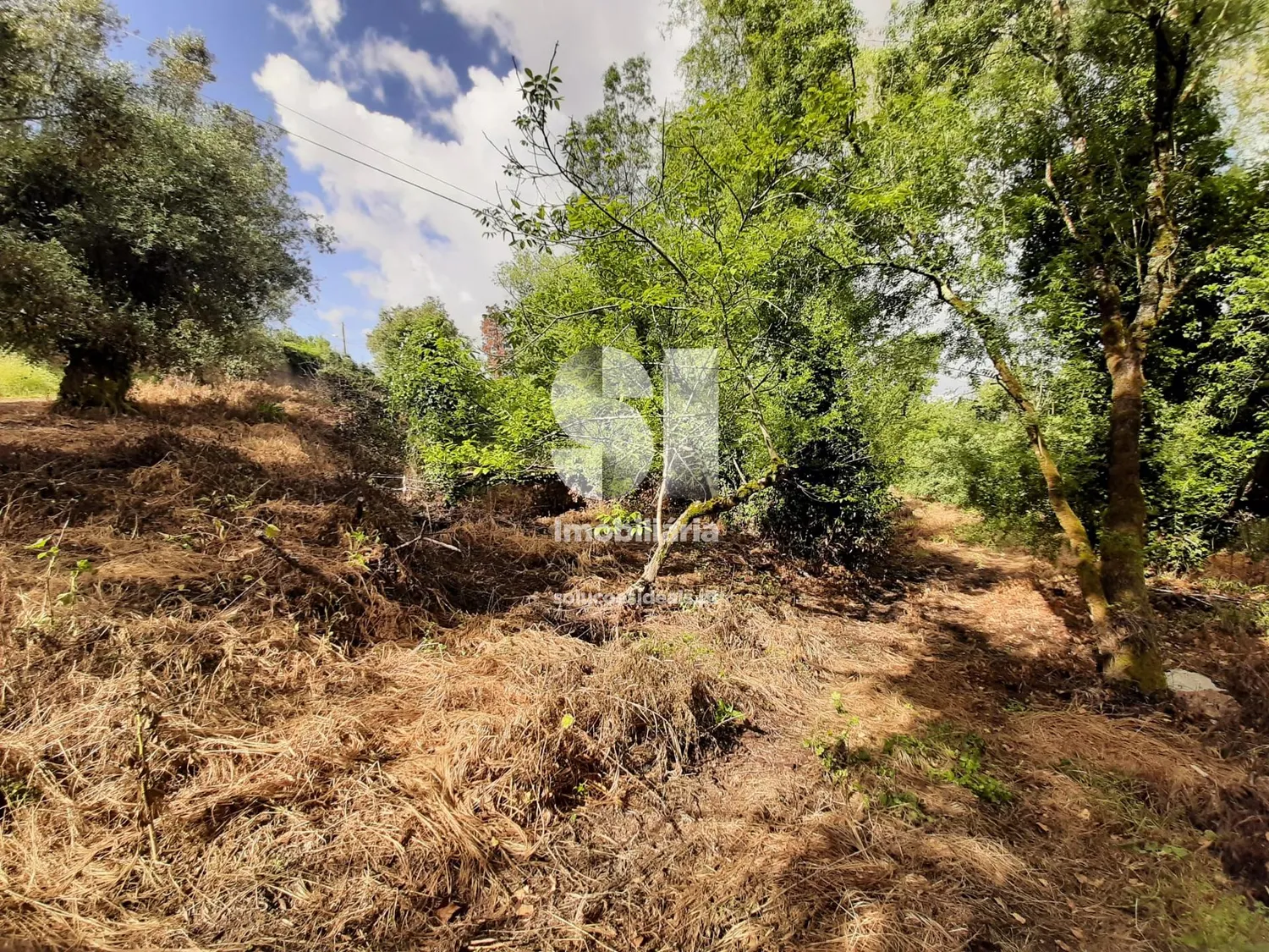 Terreno em Mealhada