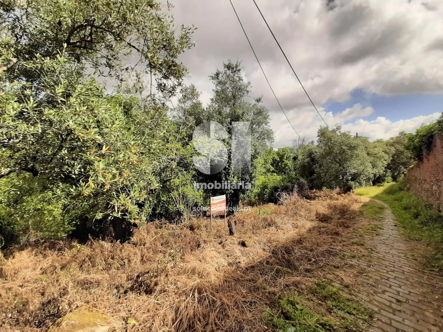 Terreno em Mealhada - 2