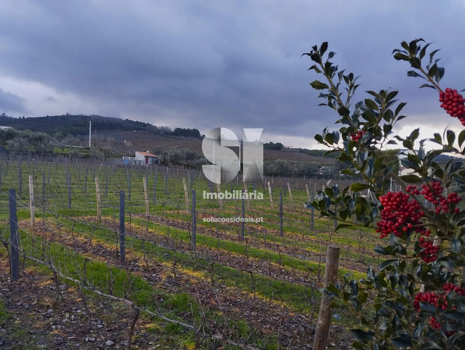 Terreno em Sabrosa
