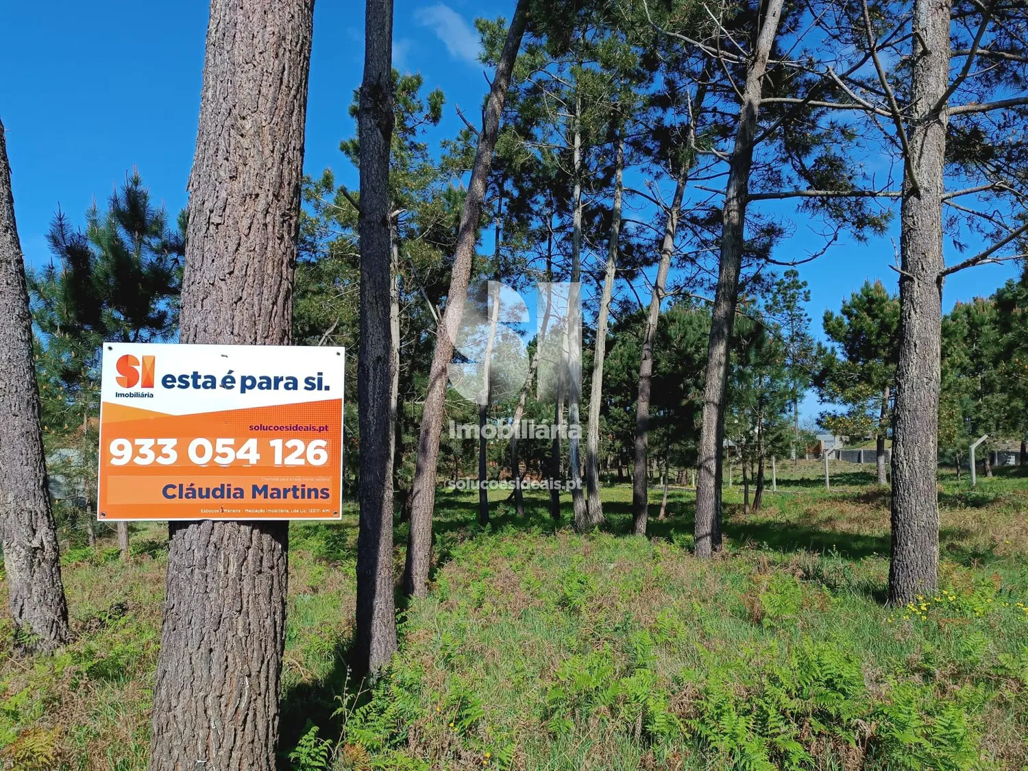 Terreno para construção | Vieira de Leiria - 2