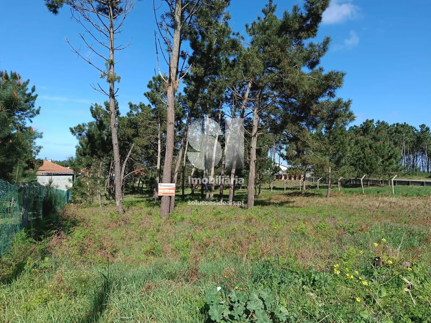 Terreno para construção | Vieira de Leiria - 3