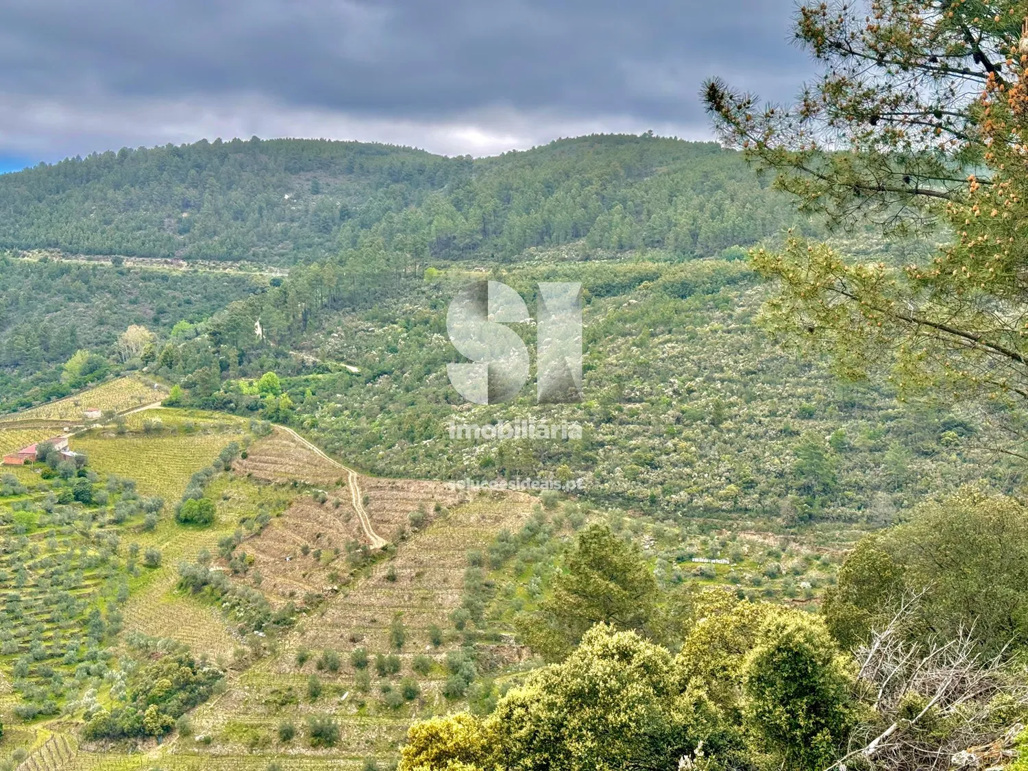 Terreno em Sabrosa