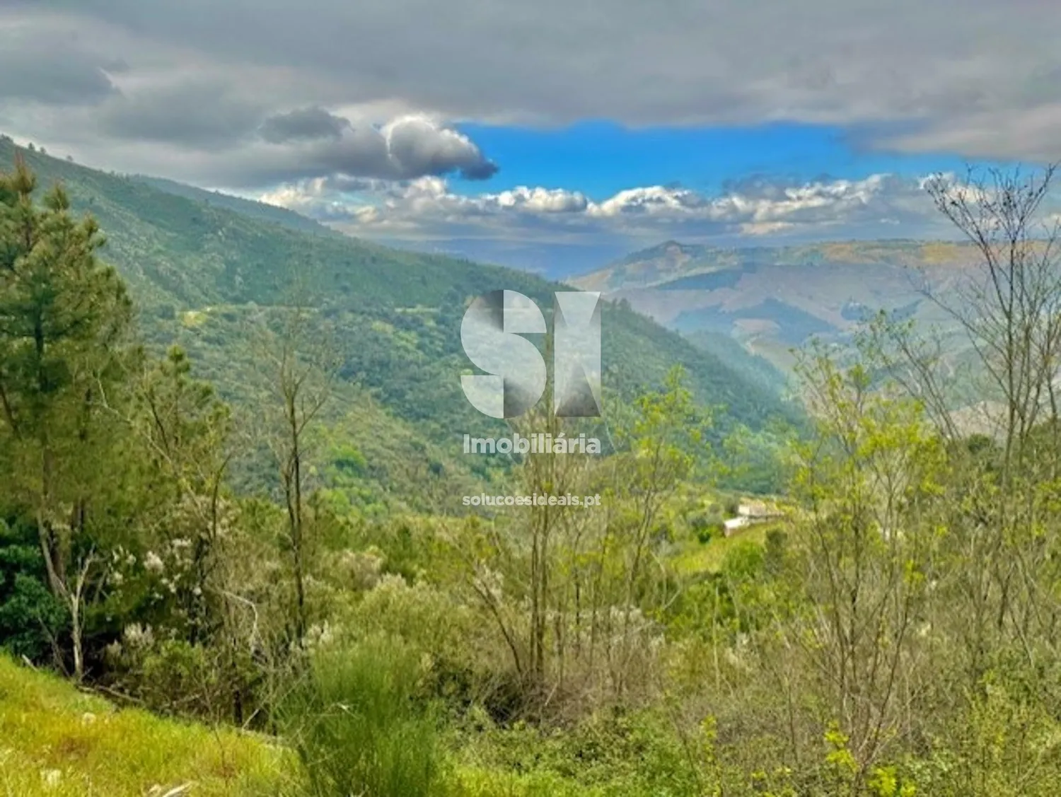 Terreno em Sabrosa - 2