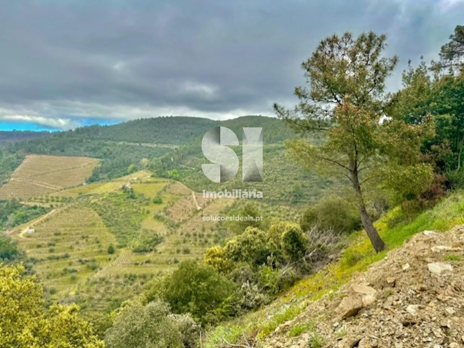 Terreno em Sabrosa - 3