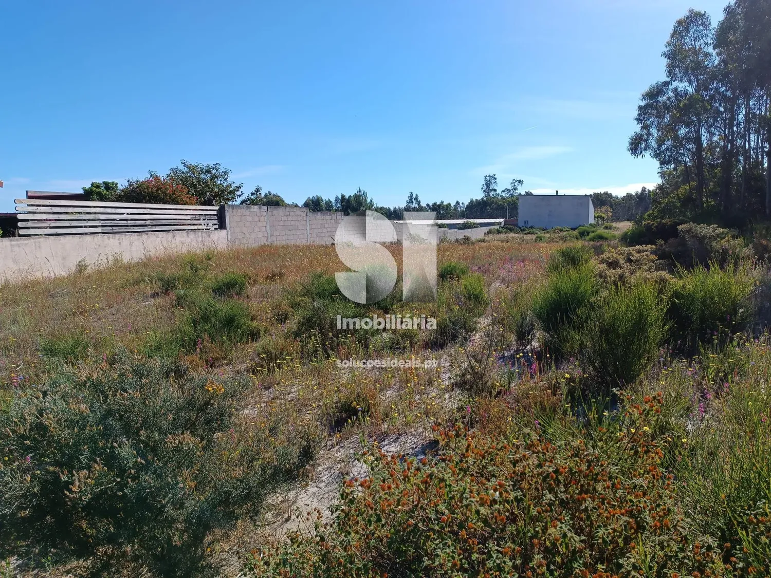 Terreno em Marinha grande - 2