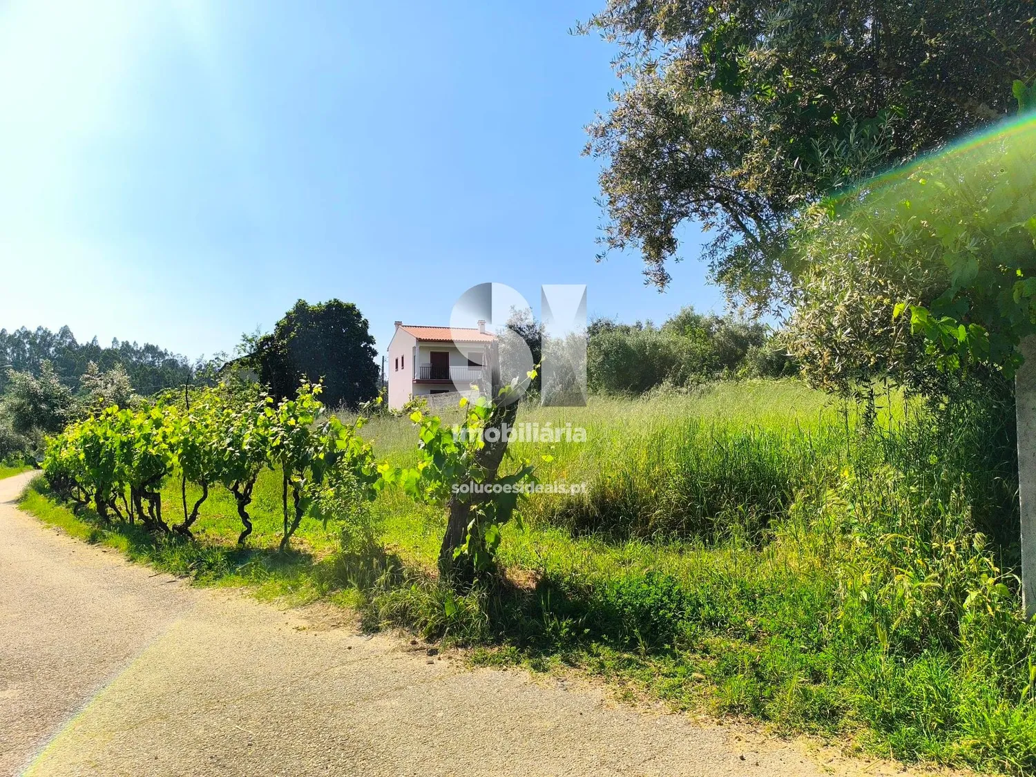 Moradia para Restaurar / Vila Nova de Poiares - 3