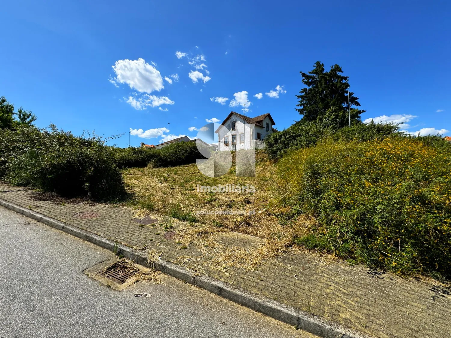 Terreno em Sabrosa