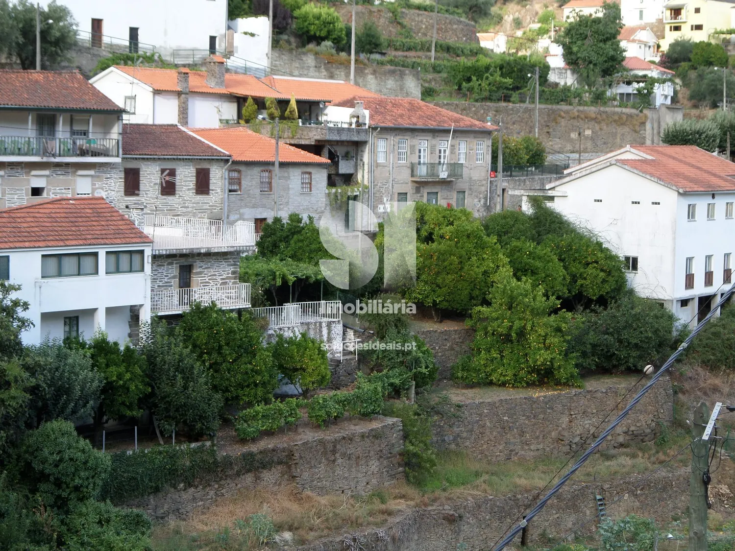 Terreno em Sabrosa - 2