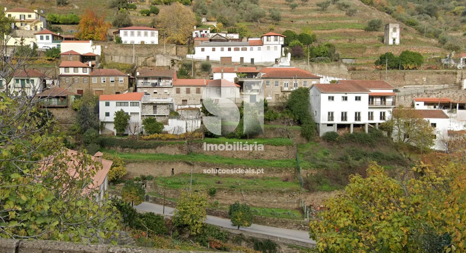 Terreno em Sabrosa - 3