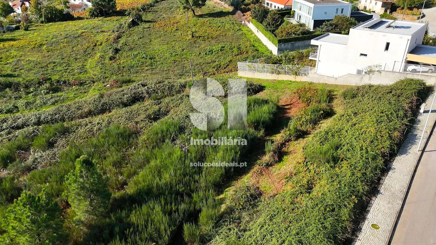 Terreno em Sabrosa - 3