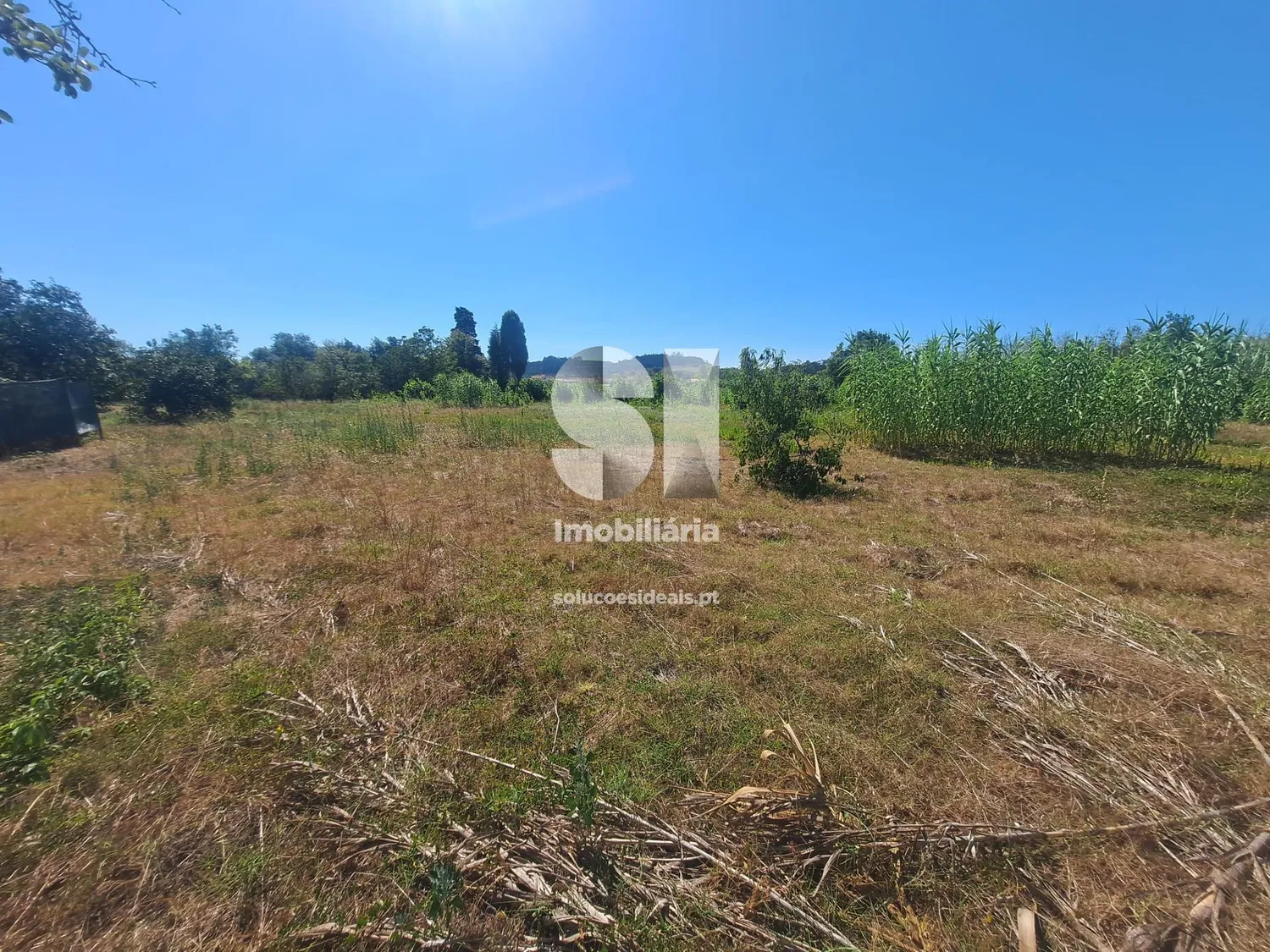 Terreno em Anadia - 2