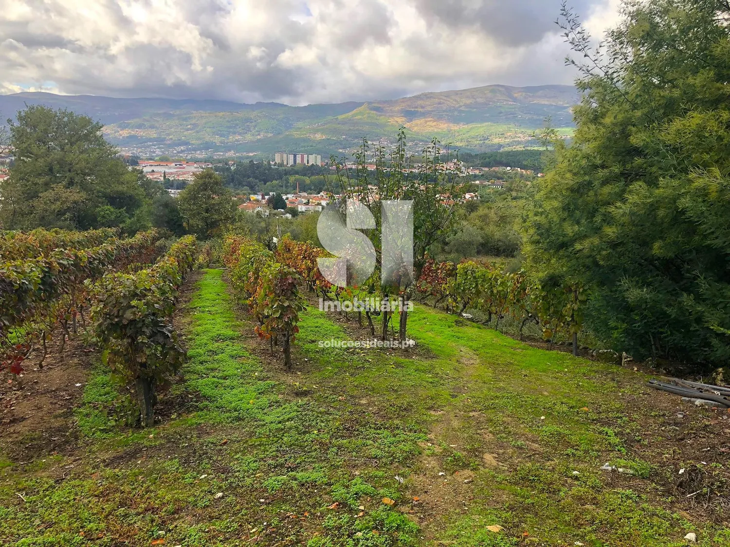 Terreno em Vila real