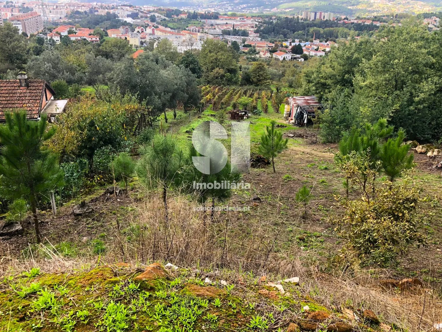 Terreno em Vila real - 2