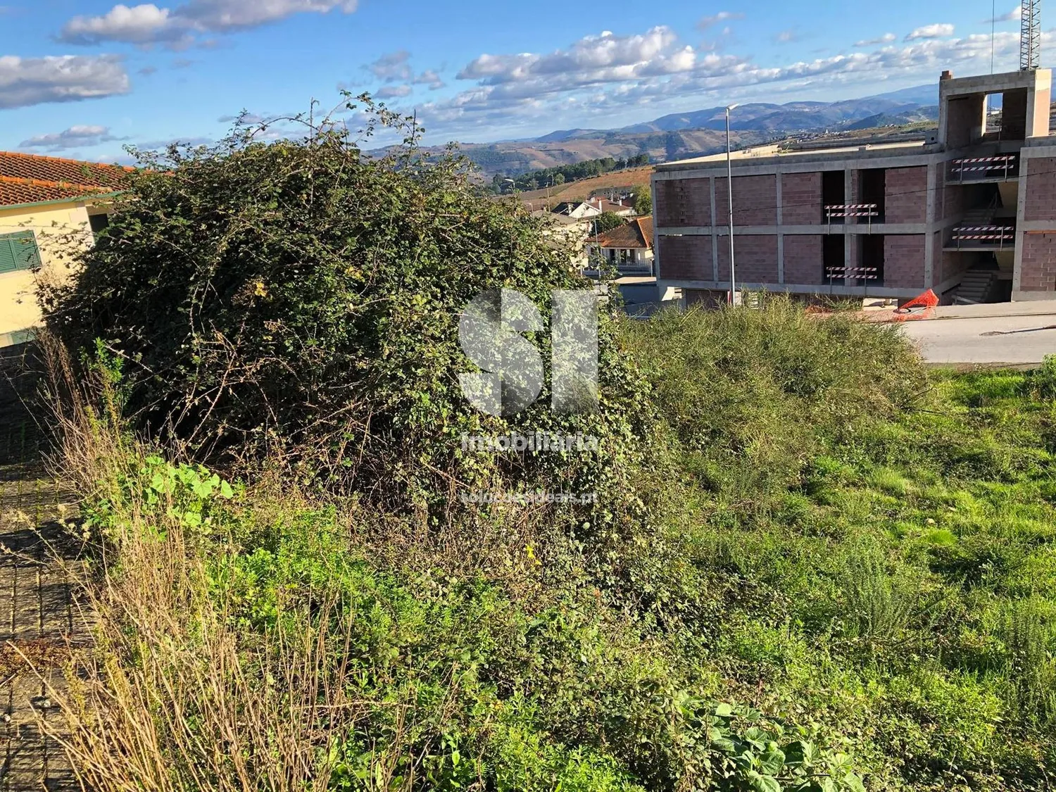 Terreno em Sabrosa - 3