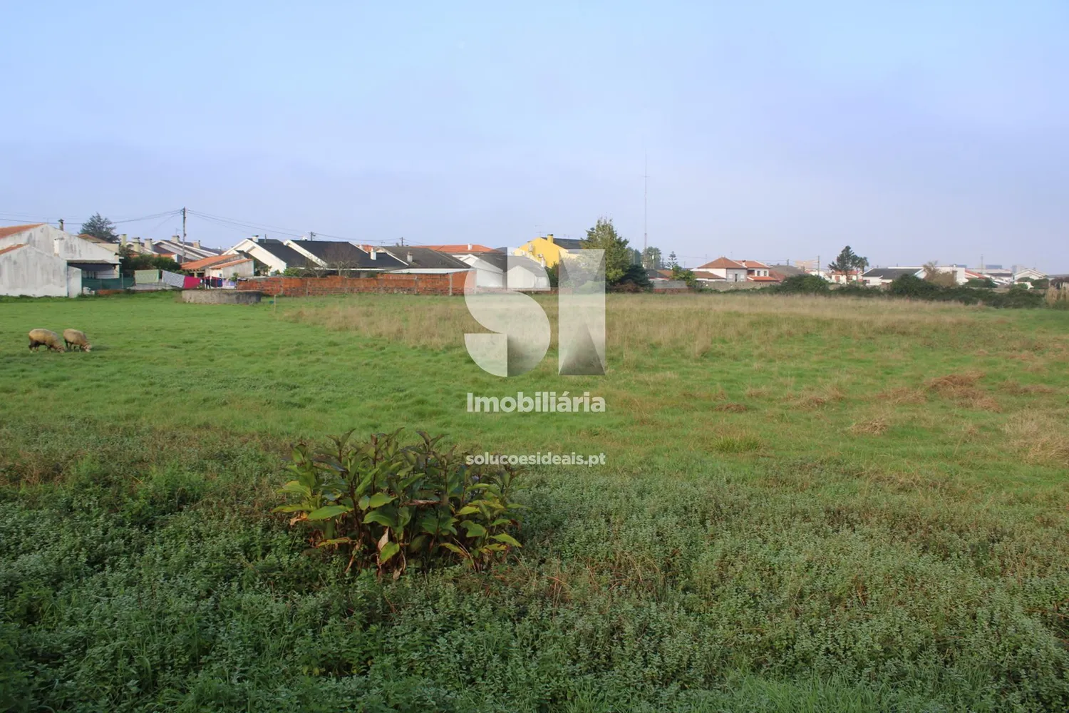 Terreno em Aveiro