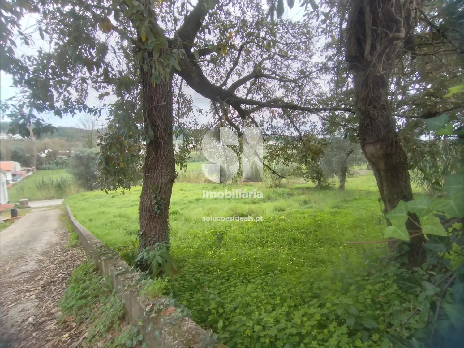 Terreno em Coimbra - 2