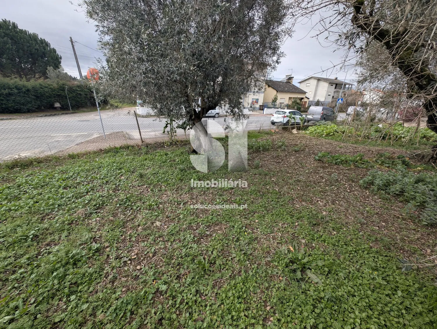 Terreno em Arganil - 3