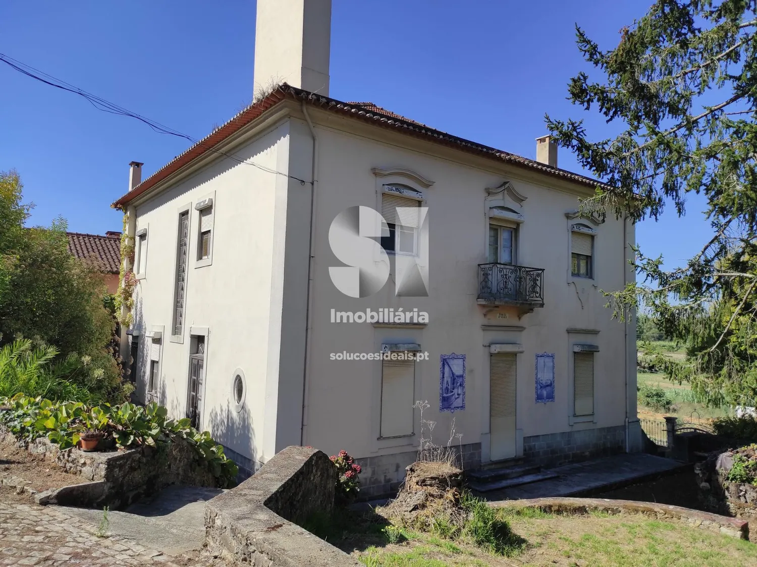 Quinta T6 - 2