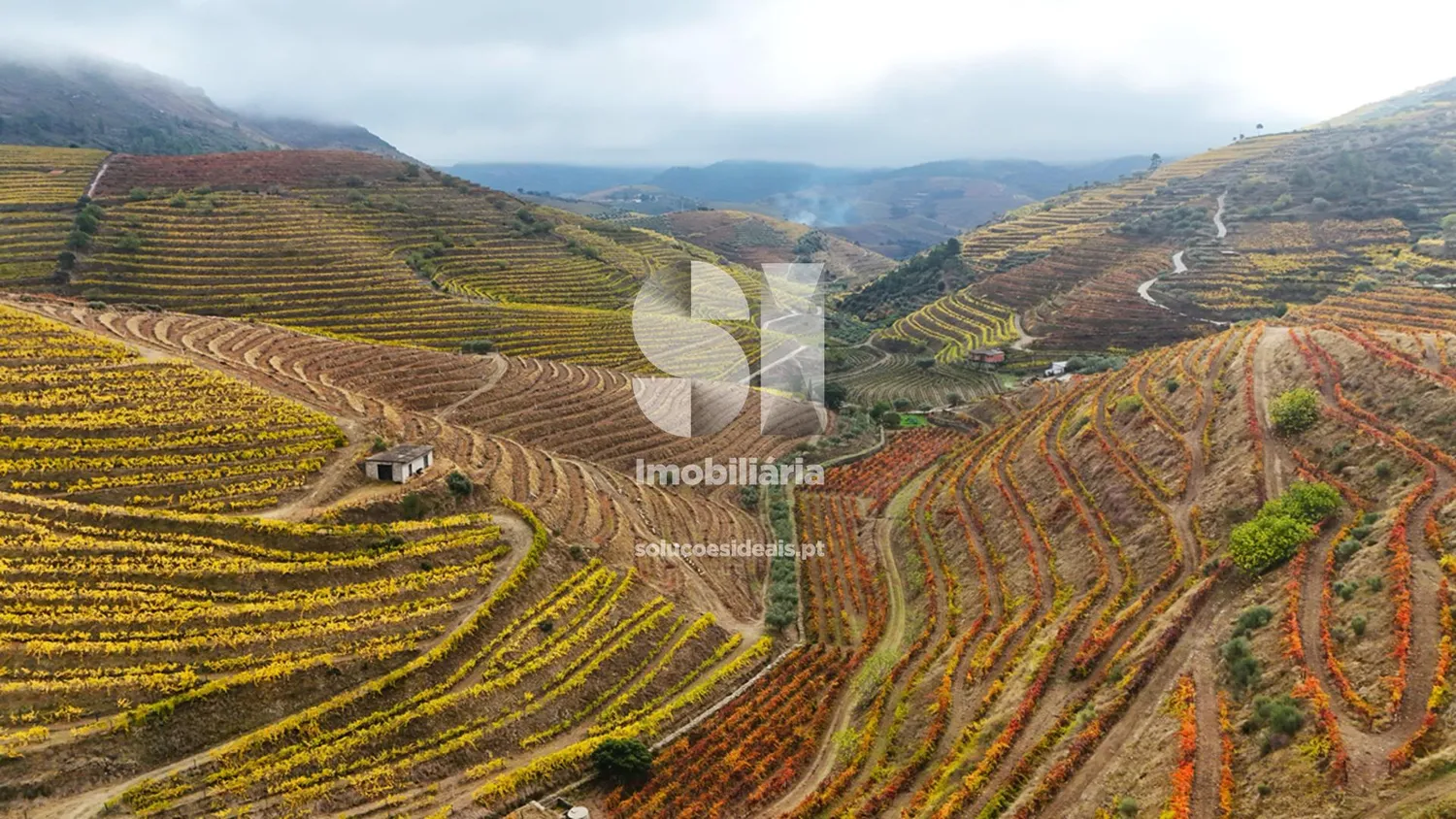 Terreno em Murça