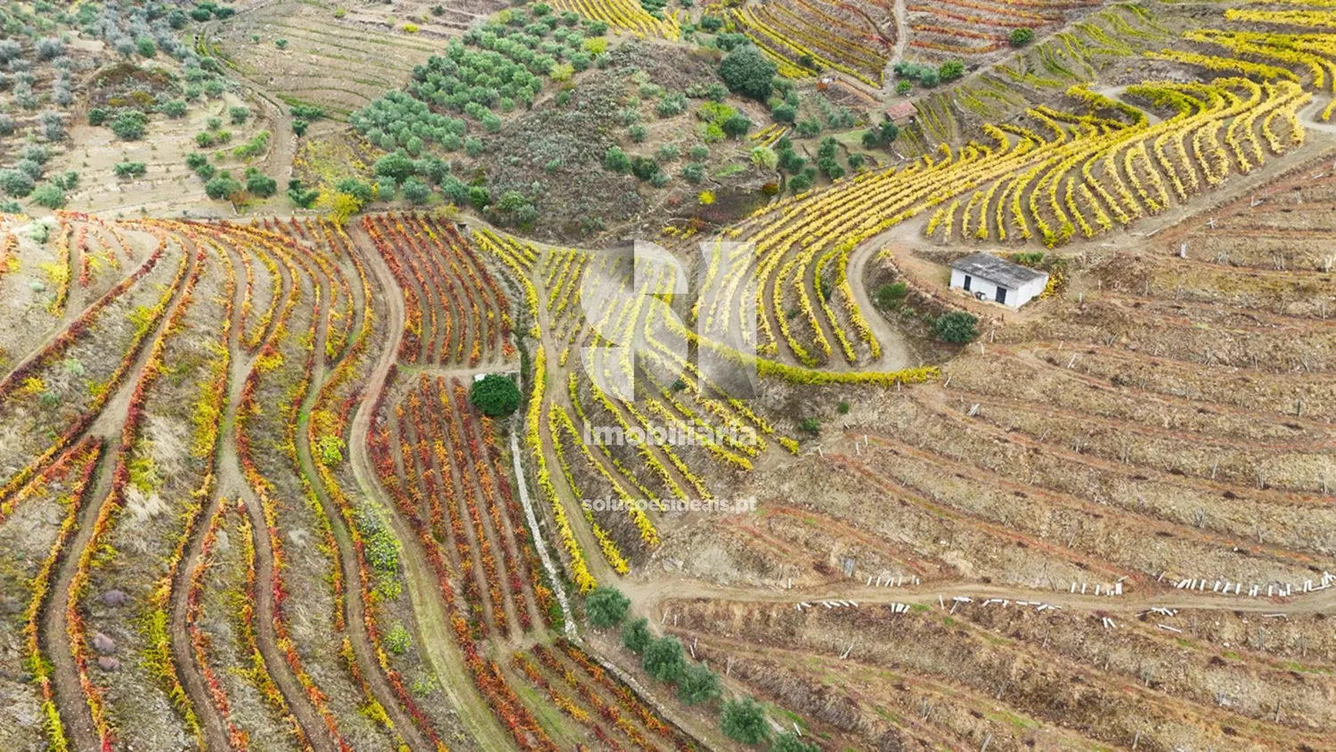 Terreno em Murça - 2