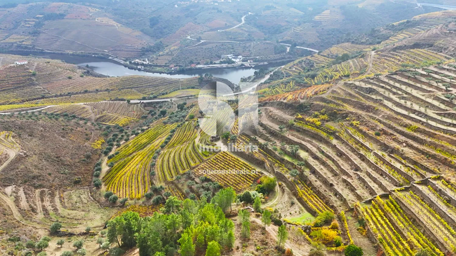 Terreno em Murça
