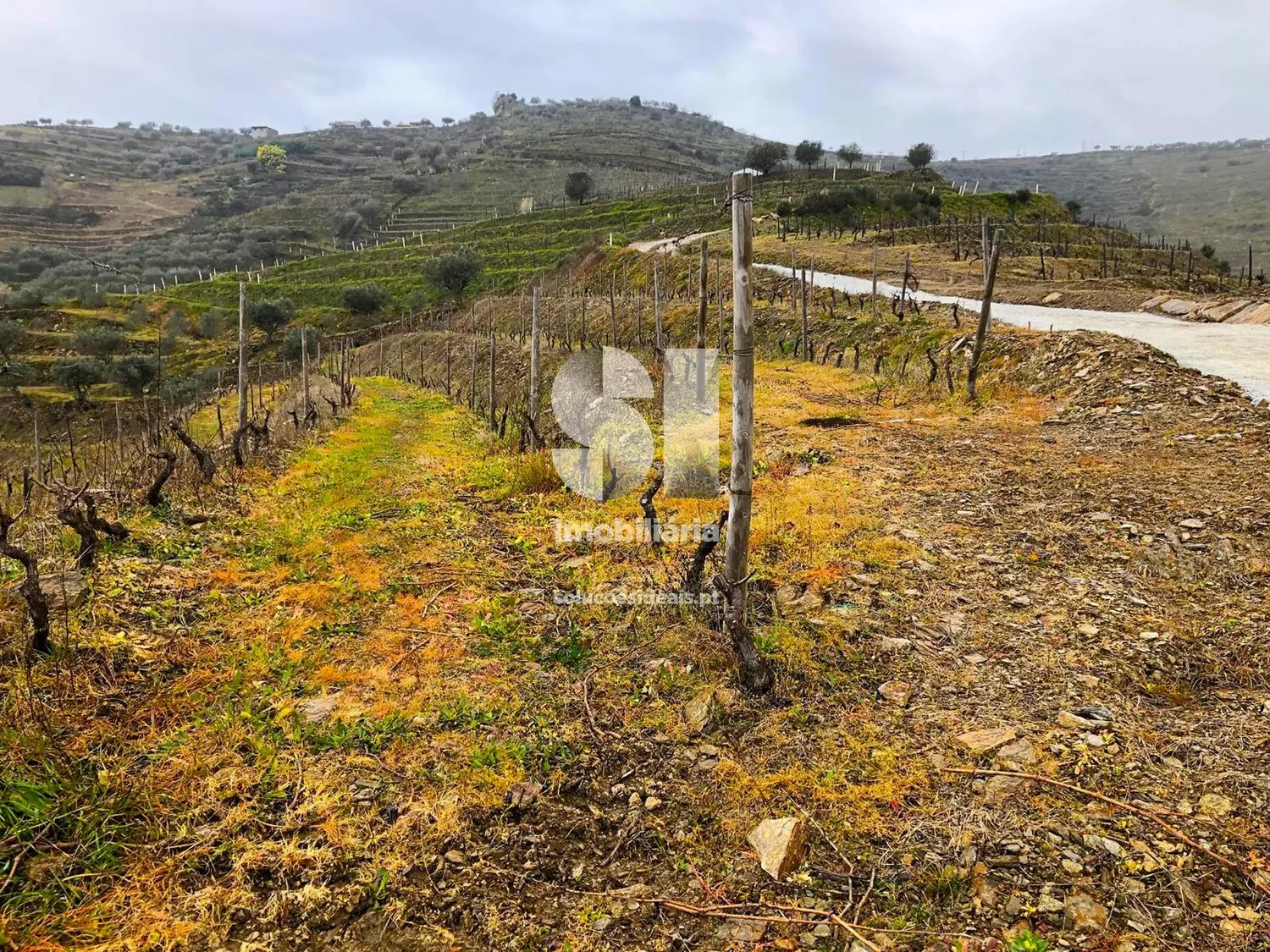 Terreno em Murça - 2