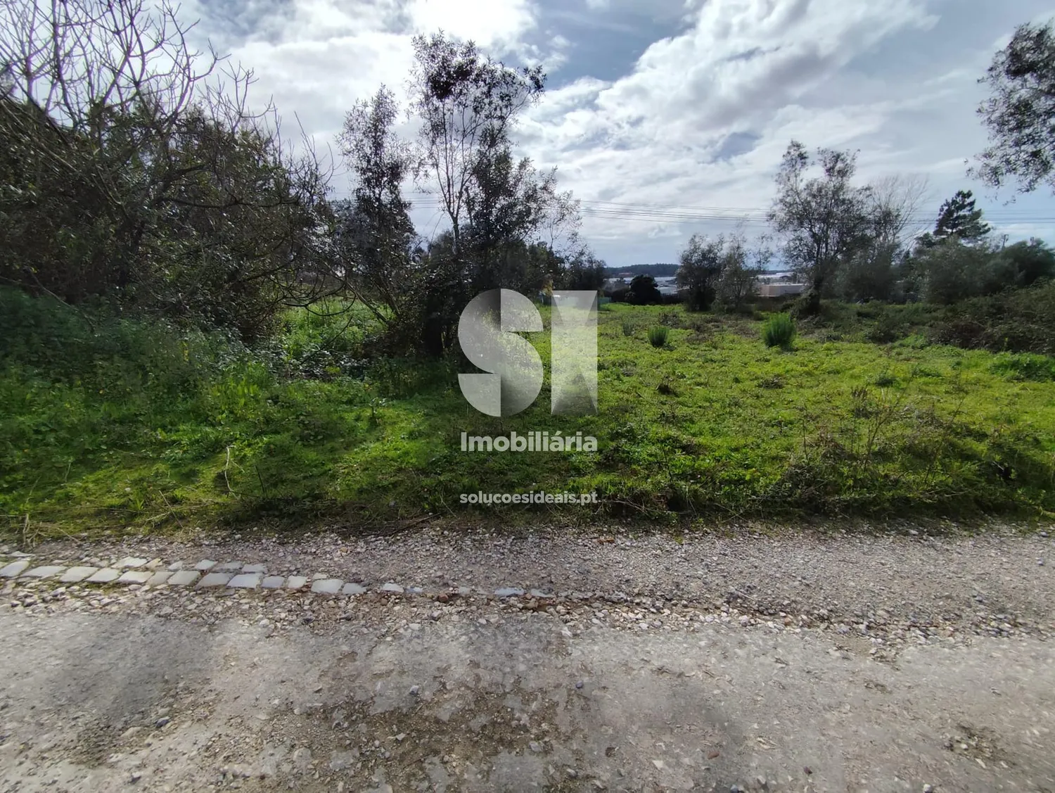 Terreno em Mealhada - 3