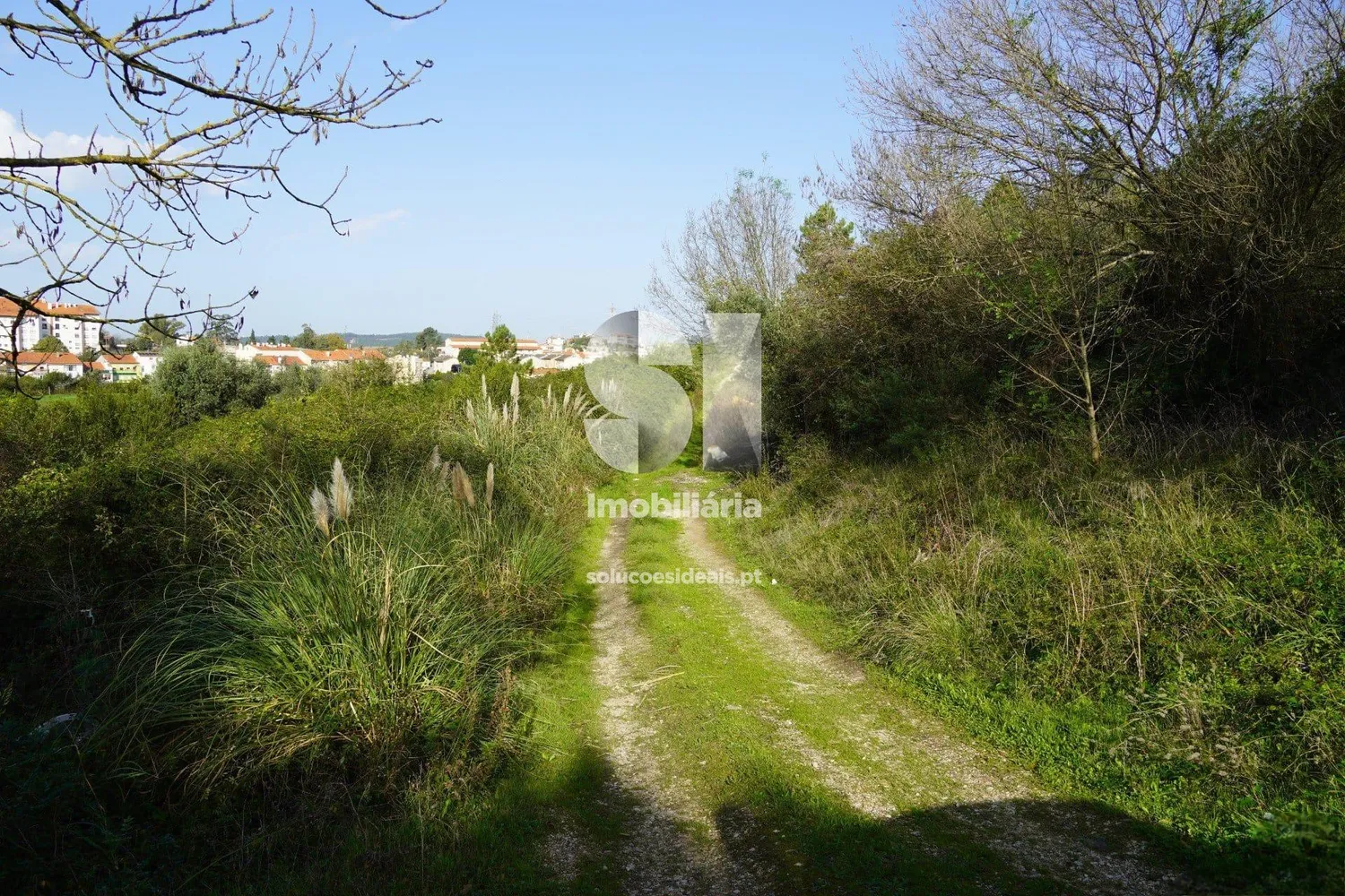 Terreno em Coimbra - 3