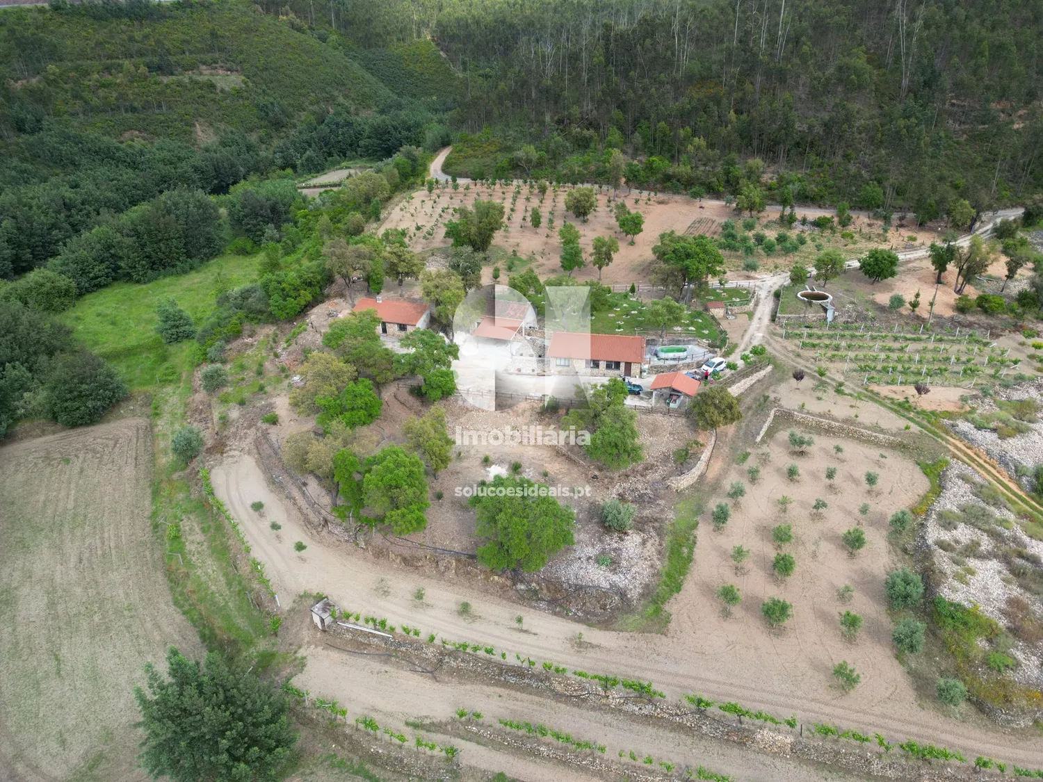 Landgut in Vila Nova de Poiares - 3