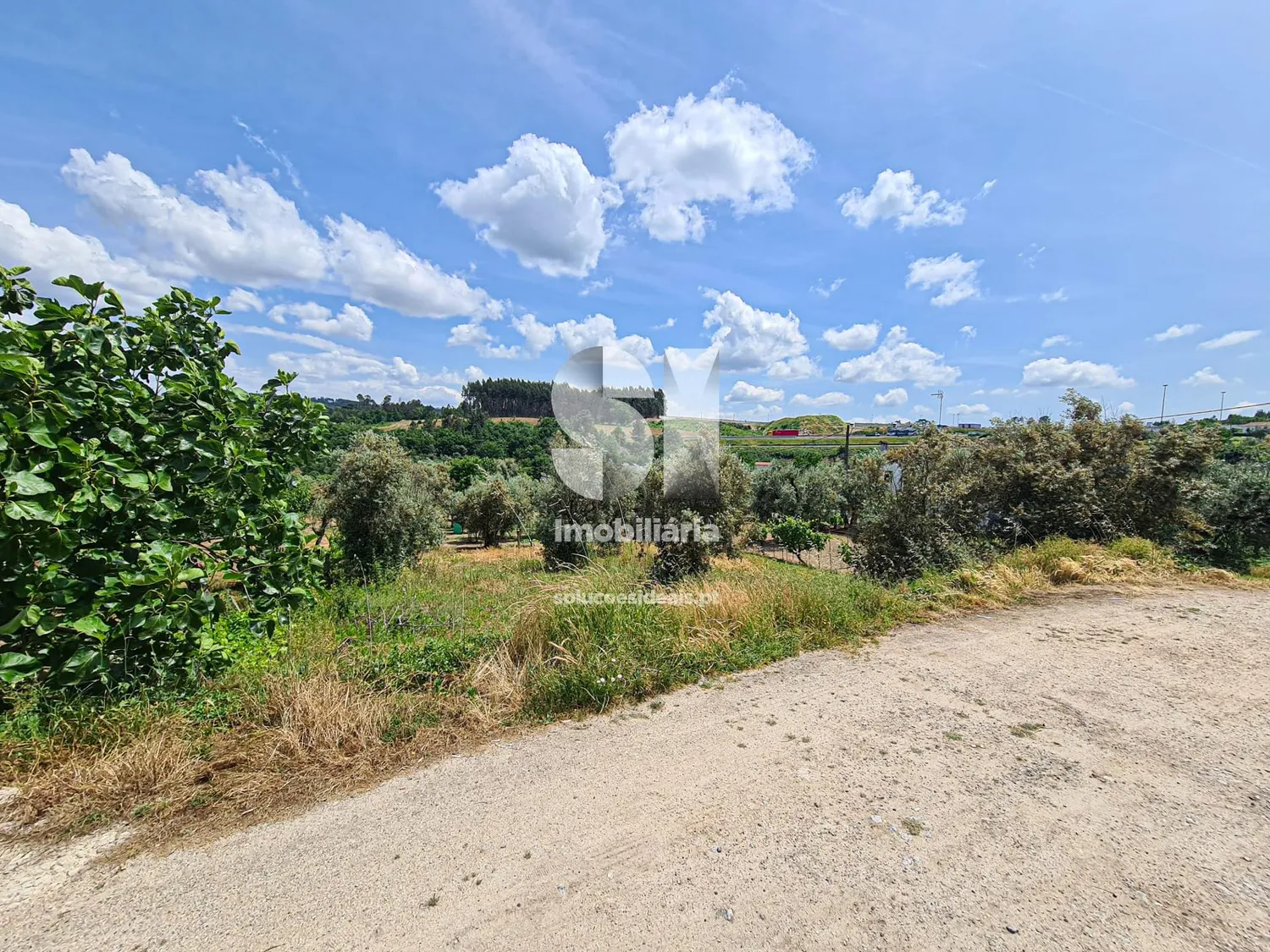 Terreno em Viseu - 3