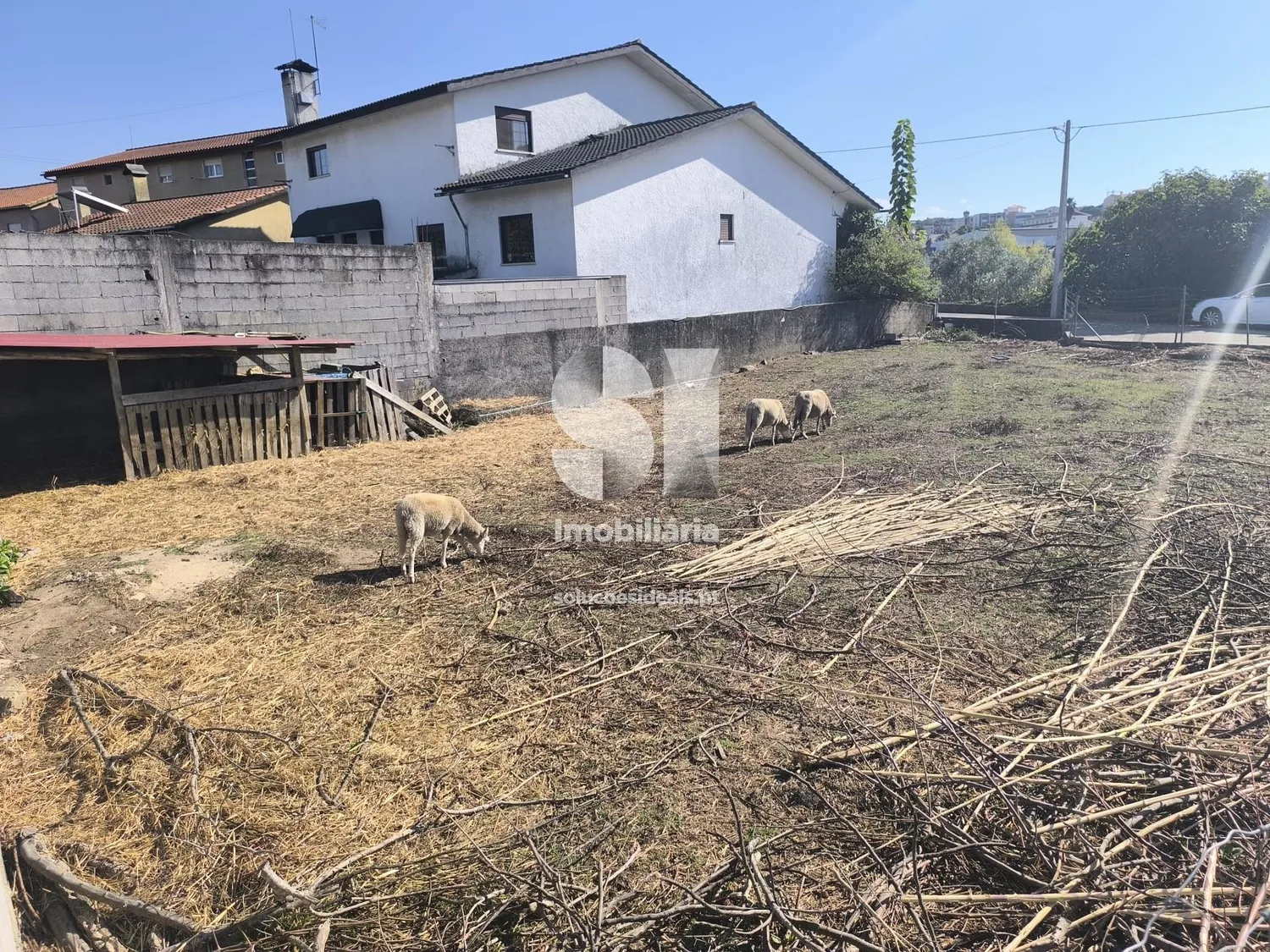 Terreno para construção / Vila Nova de Poiares - 3