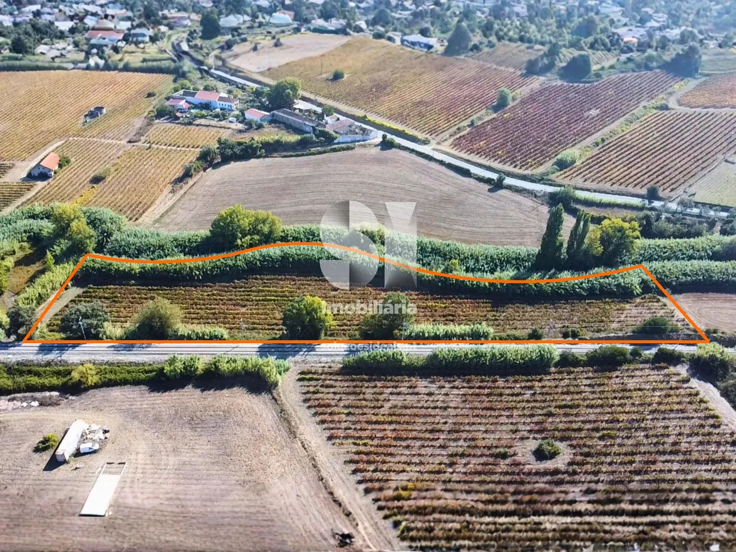 Terreno em Torres vedras