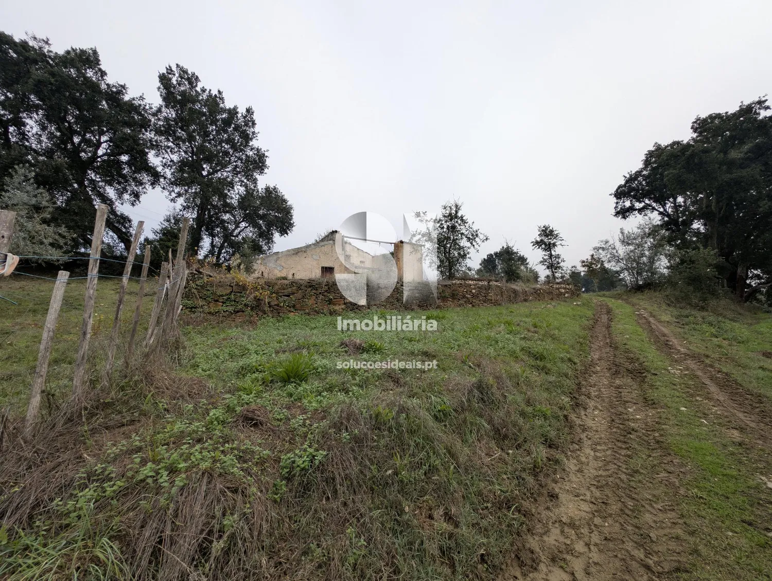 Terreno em Penacova - 3