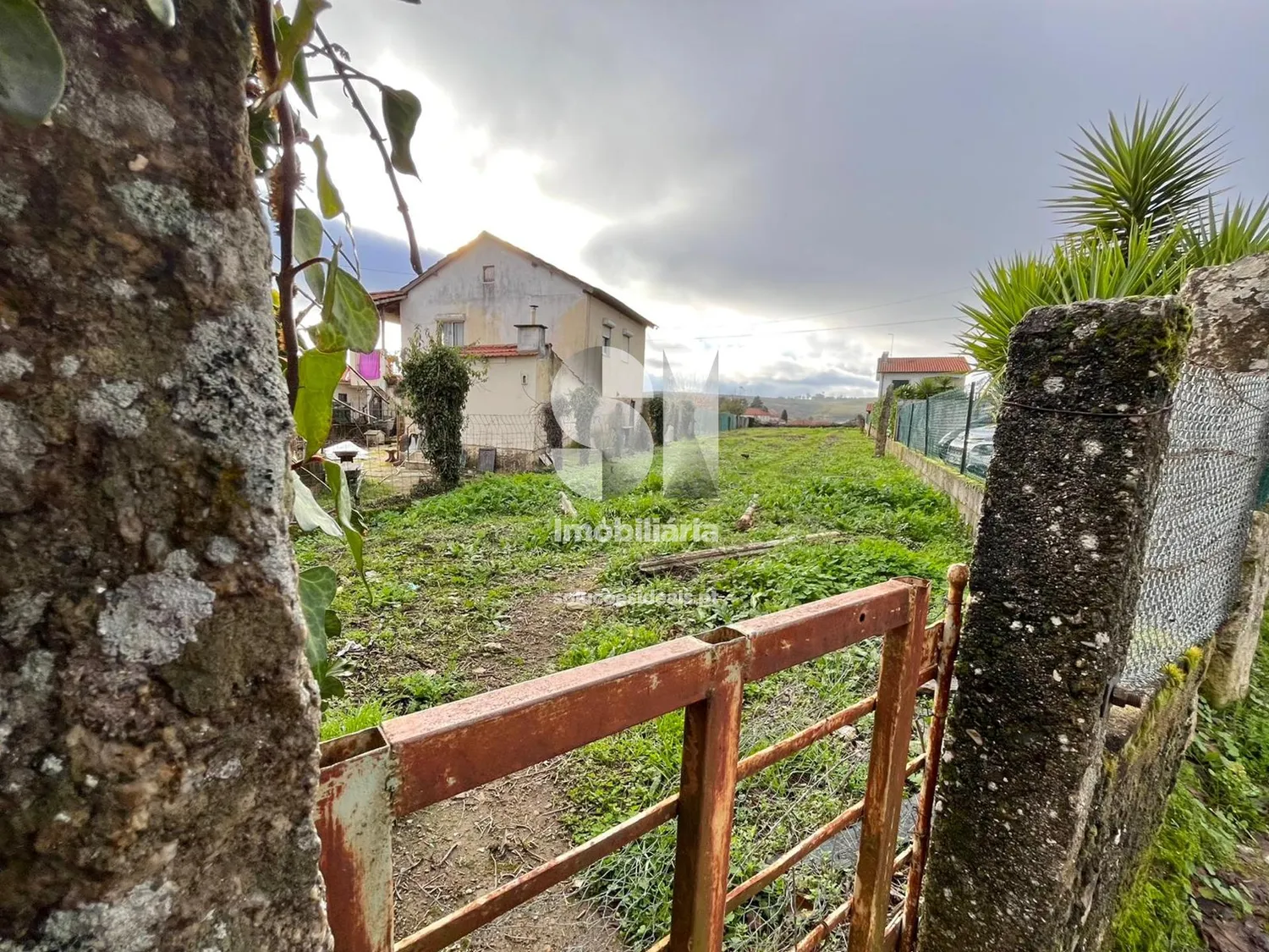 Terreno em Sabrosa - 3